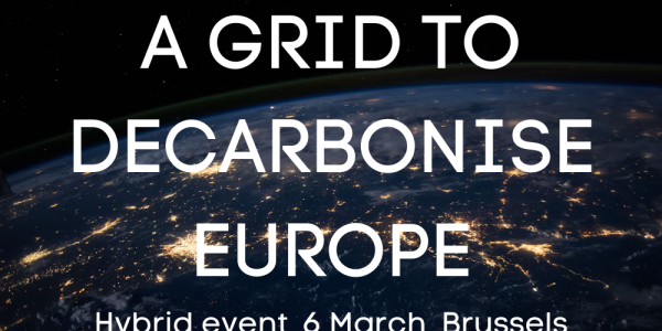 A Grid to Decarbonise Europe (2)